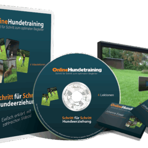 Wie Du Deinen Hund perfekt zu Deinem optimalen Begleiter erziehst!
